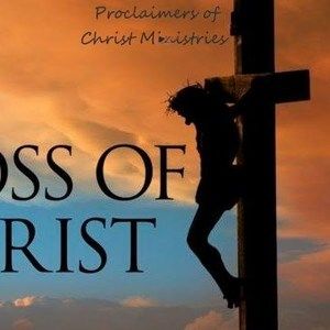 Meet your Posher, Allen